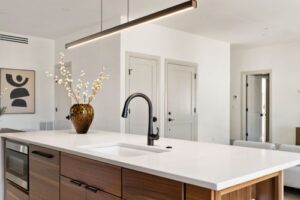 kitchen quartz counter - Boston Framer - Cambridge MA